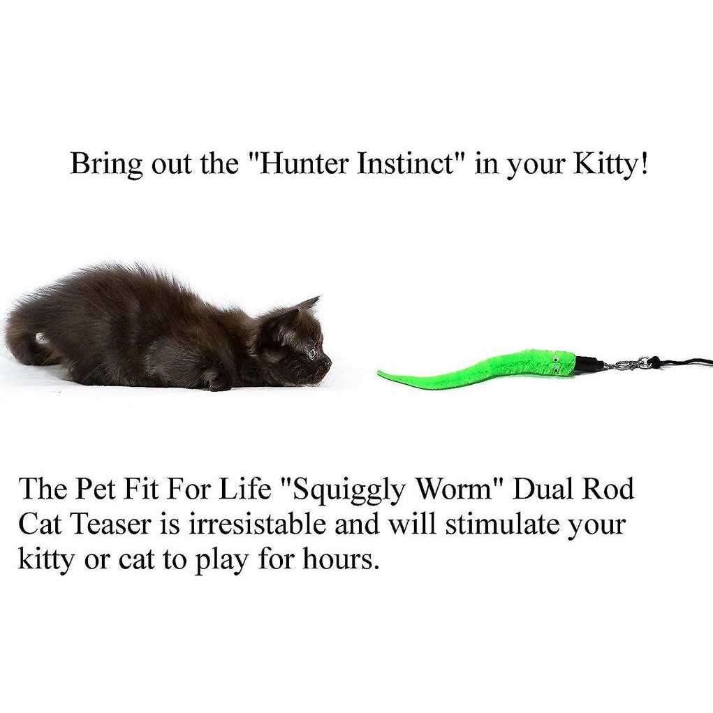 Cat Wand Toy 5-Piece Worm Teaser C987953