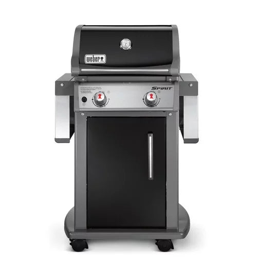 2-Burner Liquid Propane Gas Grill in Black T605