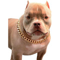 Gold Chain Cuban Link Dog Collar V924