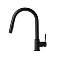 Kitchen Faucet M35300