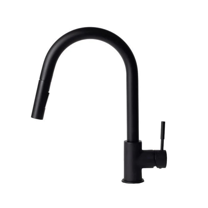 Kitchen Faucet M35300